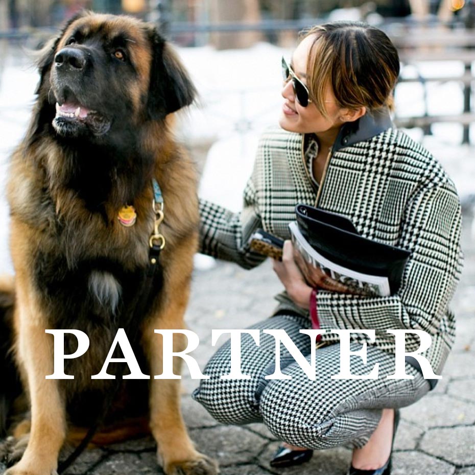 partner