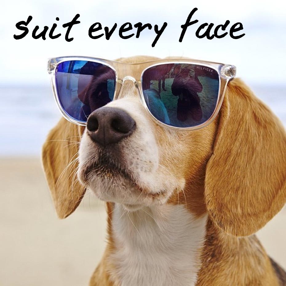 suit every face